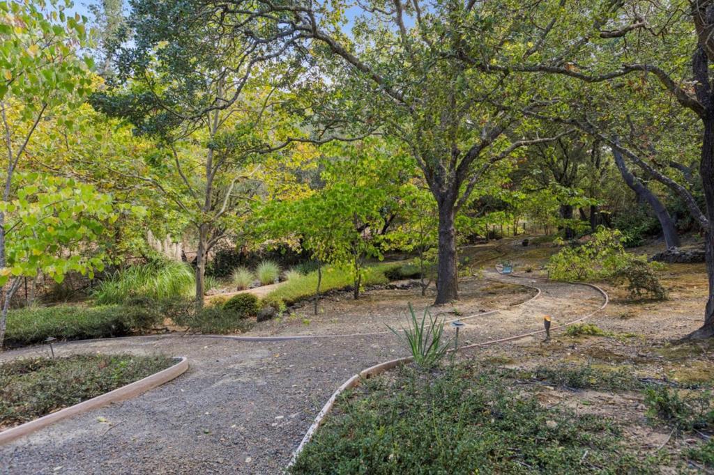14950 Gypsy Hill Road Property Photo 45