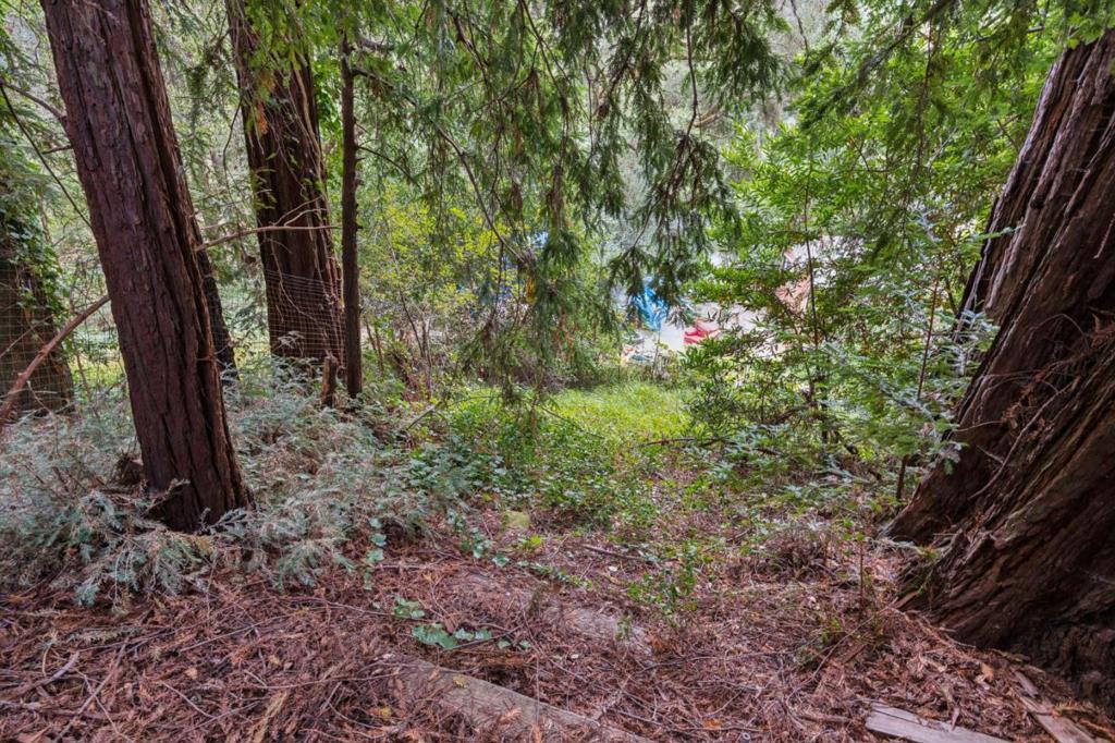 180 Cresta Drive Property Photo 64