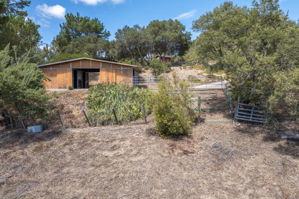 11565 Mccarthy Road Property Photo 32