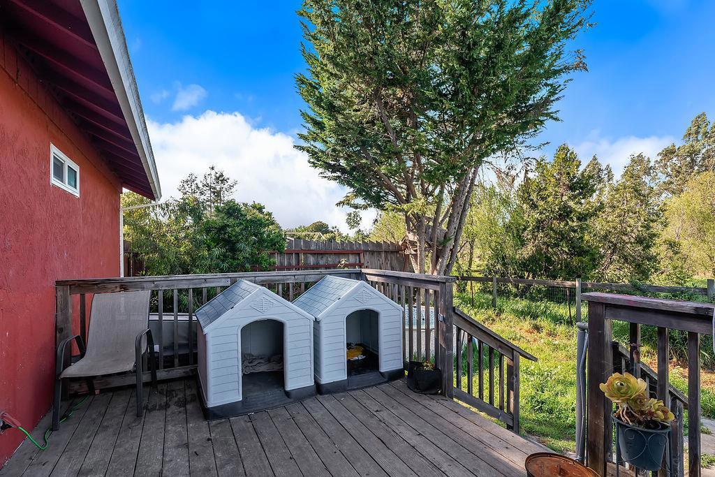3710 Bodega Avenue Property Photo 37