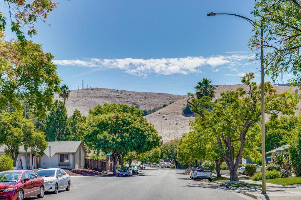 6419 Camino Verde Drive Property Photo 43