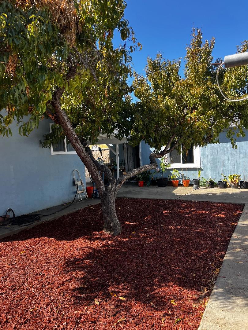 33438 7th Street Property Photo 17