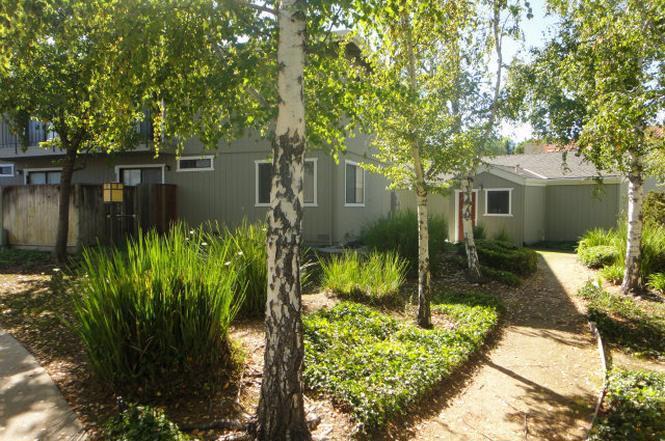 22672 Silver Oak Lane Property Photo 11