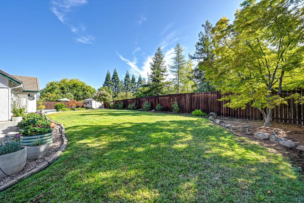 807 Mesa Vista Way Property Photo 69