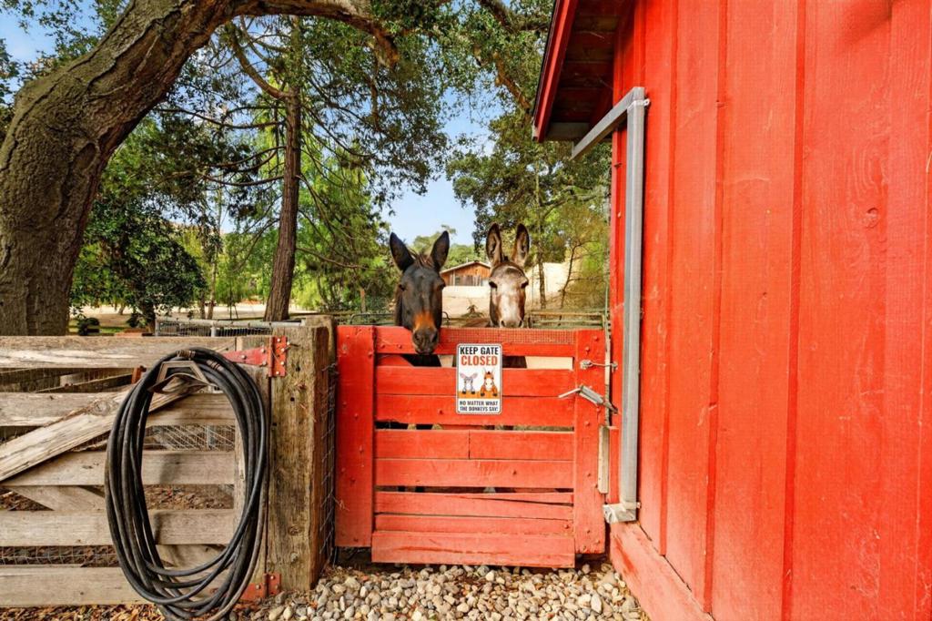 125 Old Stage Road Property Photo 65