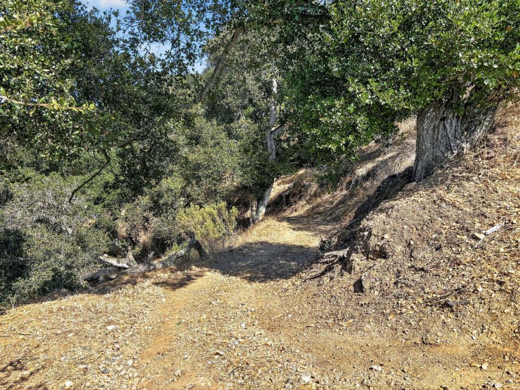 125 Old Stage Road Property Photo 78