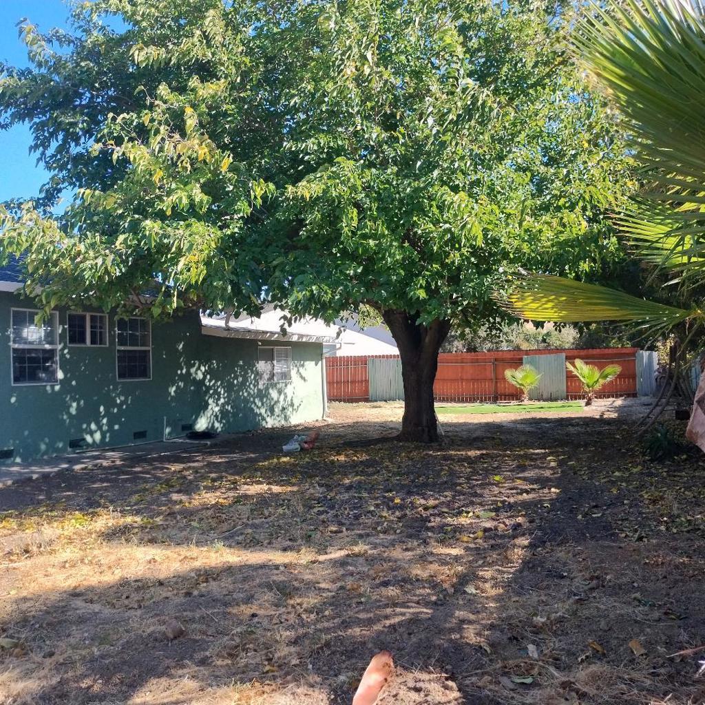 1181 Coad Court Property Photo 16