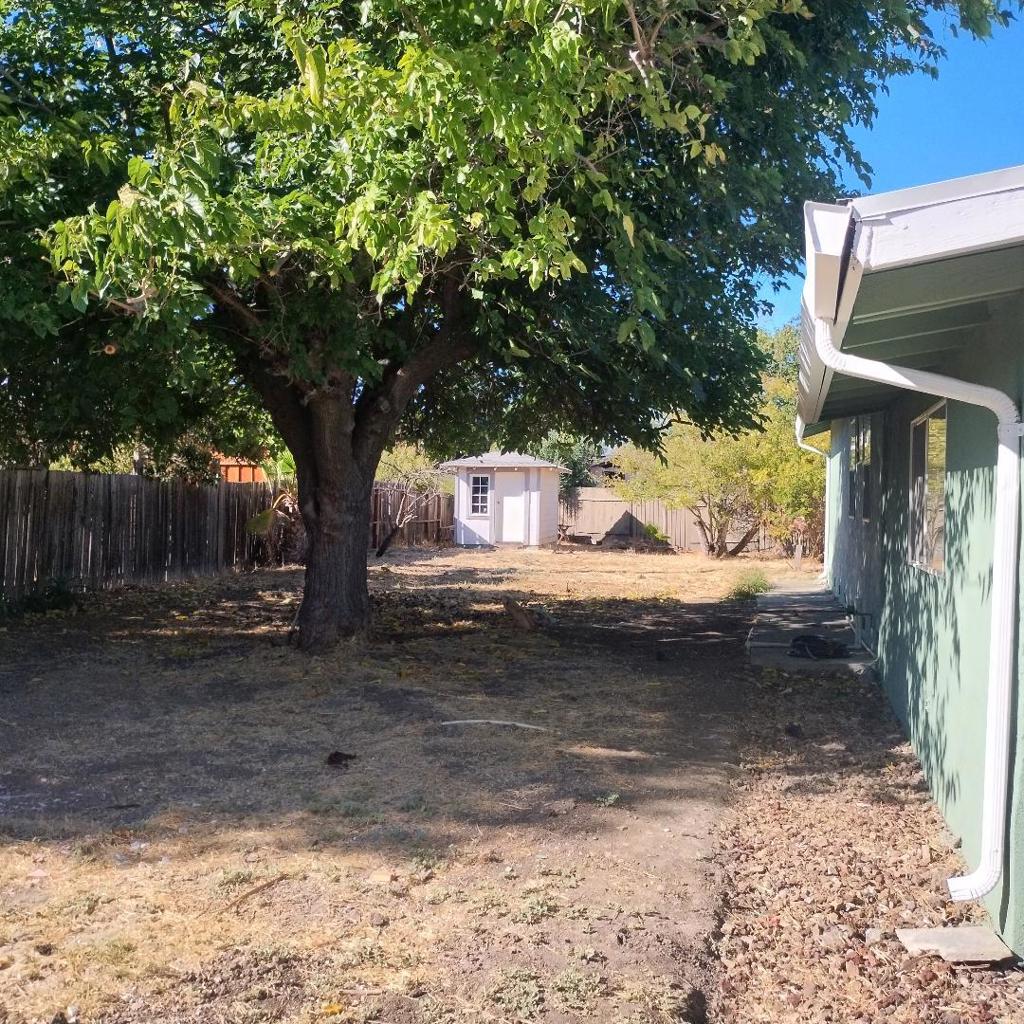 1181 Coad Court Property Photo 18