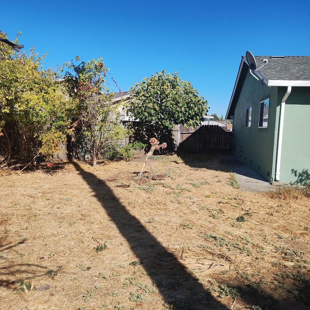 1181 Coad Court Property Photo 19
