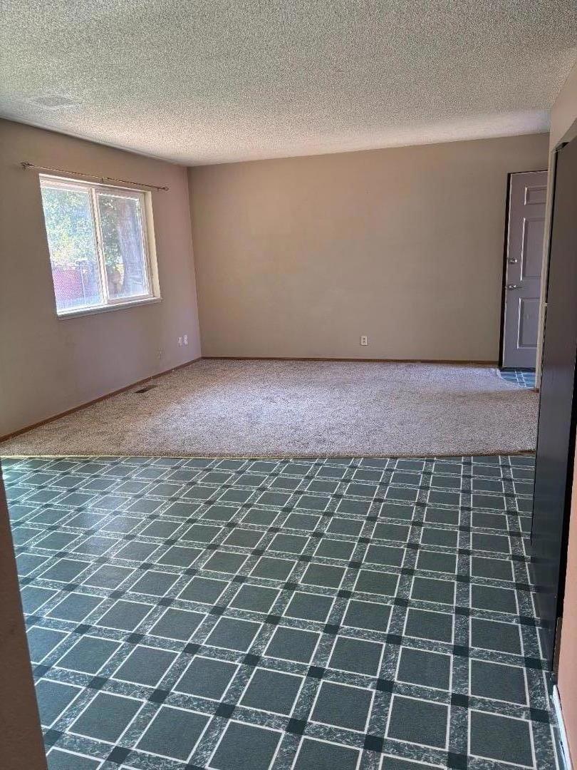 709880 Willow Street Property Photo 6