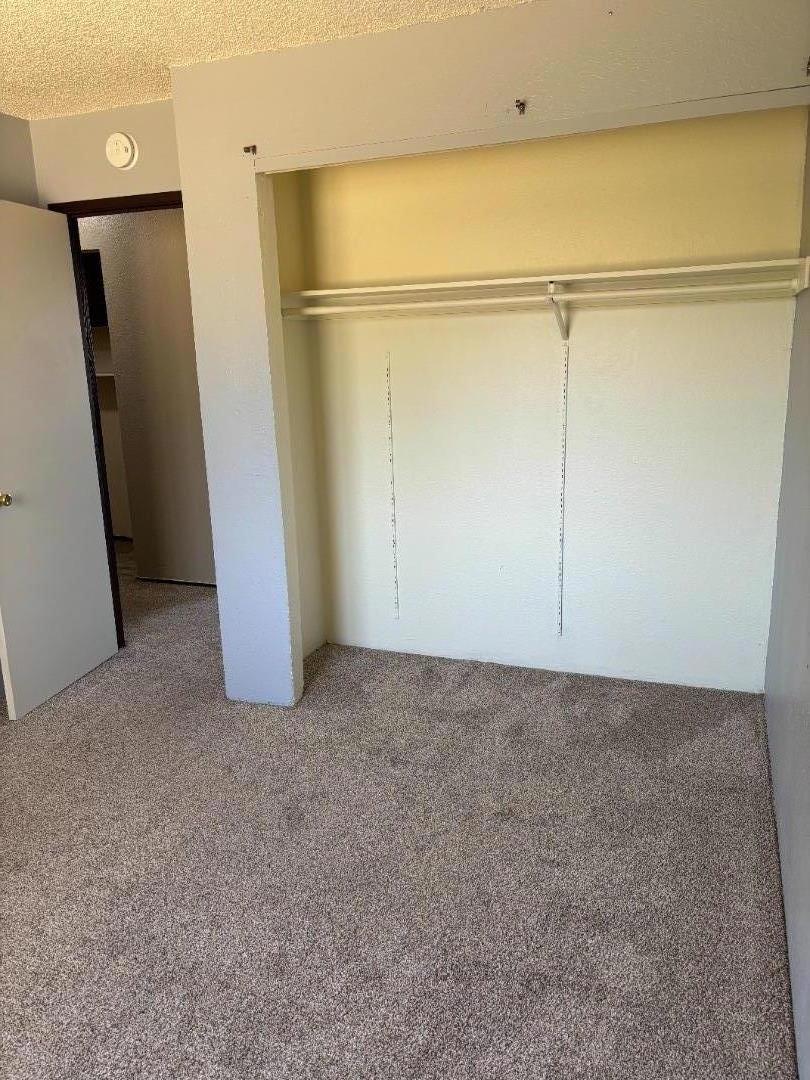 709880 Willow Street Property Photo 13