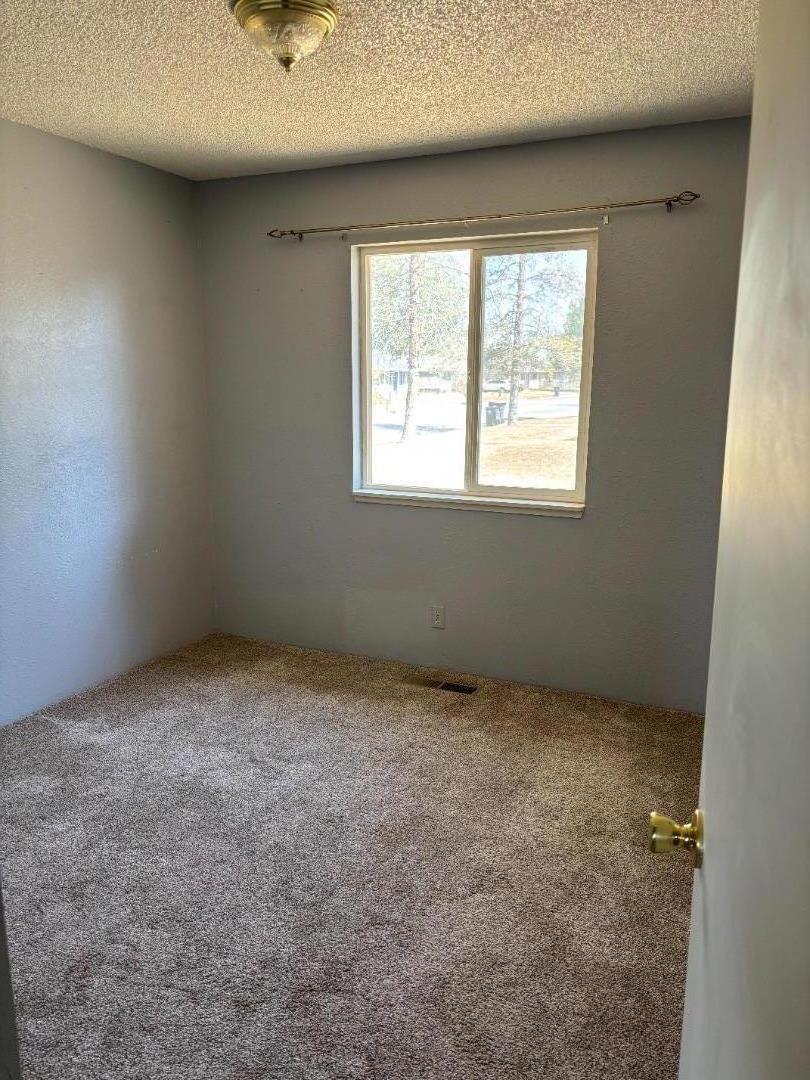 709880 Willow Street Property Photo 14