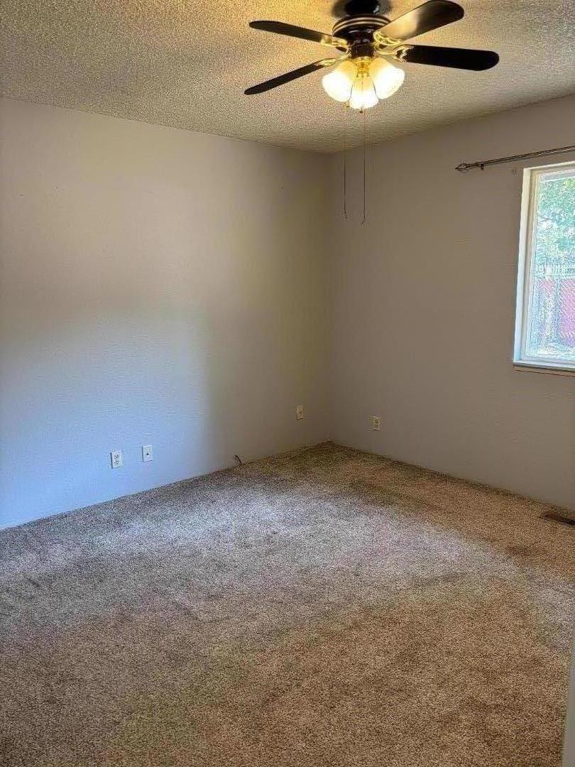 709880 Willow Street Property Photo 15