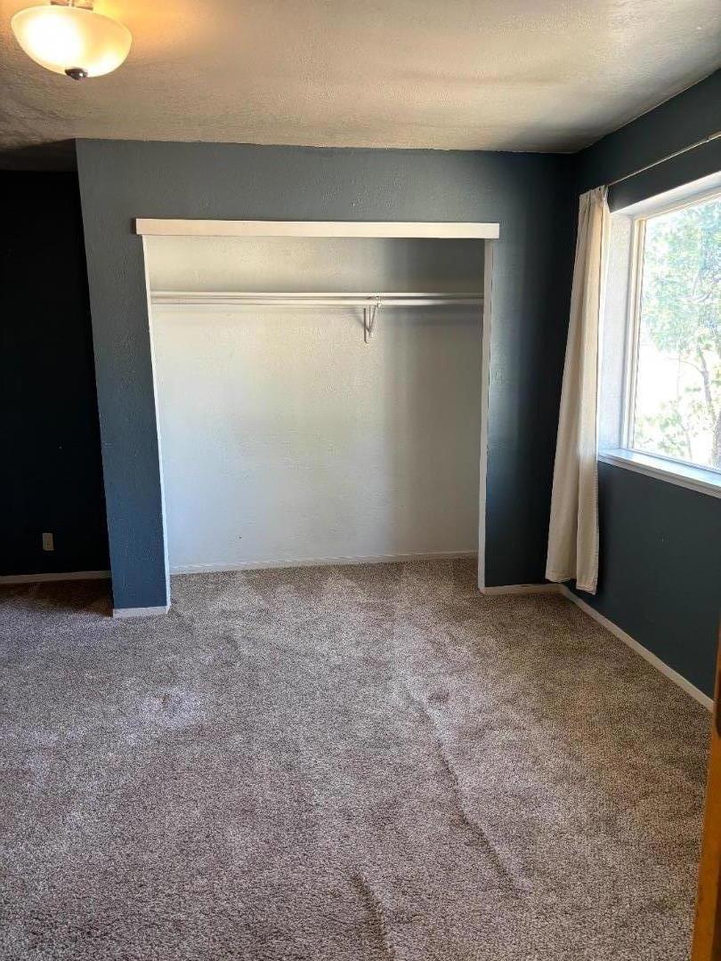 709880 Willow Street Property Photo 22