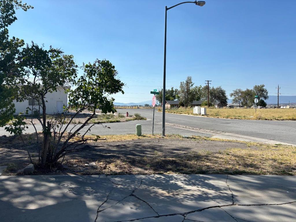 709880 Willow Street Property Photo 32