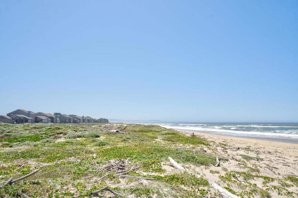 274 Monterey Dunes Way Property Photo 27