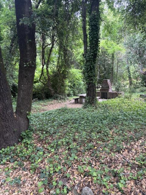 14251 Big Basin Way Way Property Photo 3