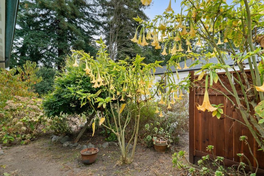 402 Bernal Street Property Photo 45