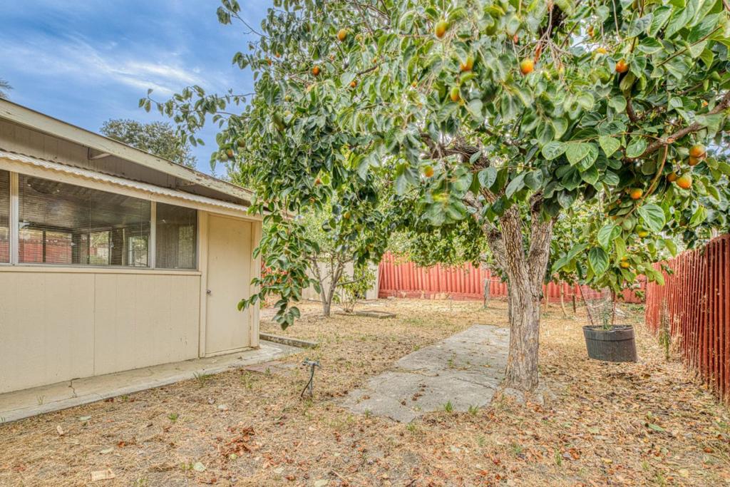 875 Suiter Street Property Photo 36