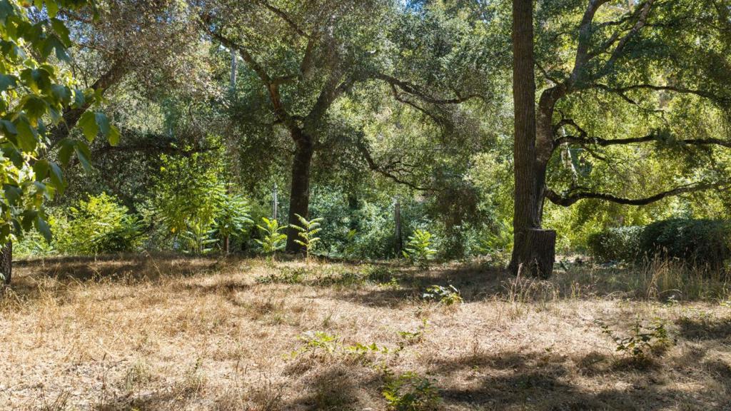 7267 W Zayante Road Property Photo 7