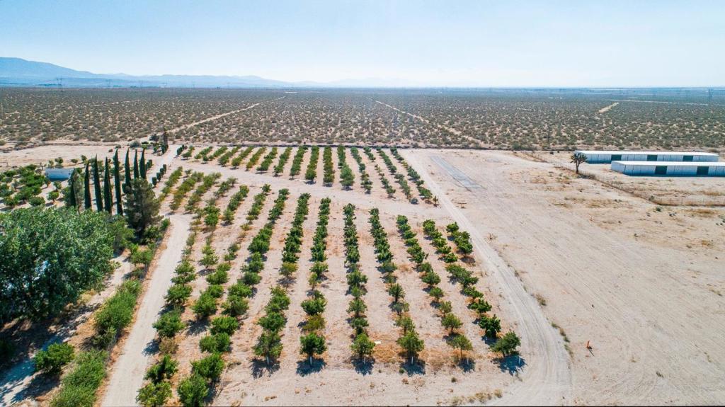 34810 Largo Vista Road Brian Ranch Property Photo 13