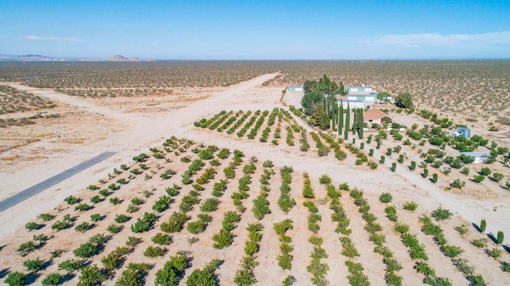 34810 Largo Vista Road Brian Ranch Property Photo 14