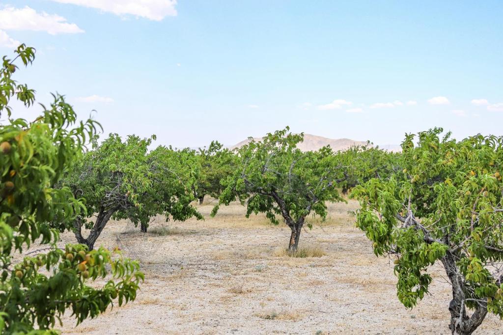 34810 Largo Vista Road Brian Ranch Property Photo 34