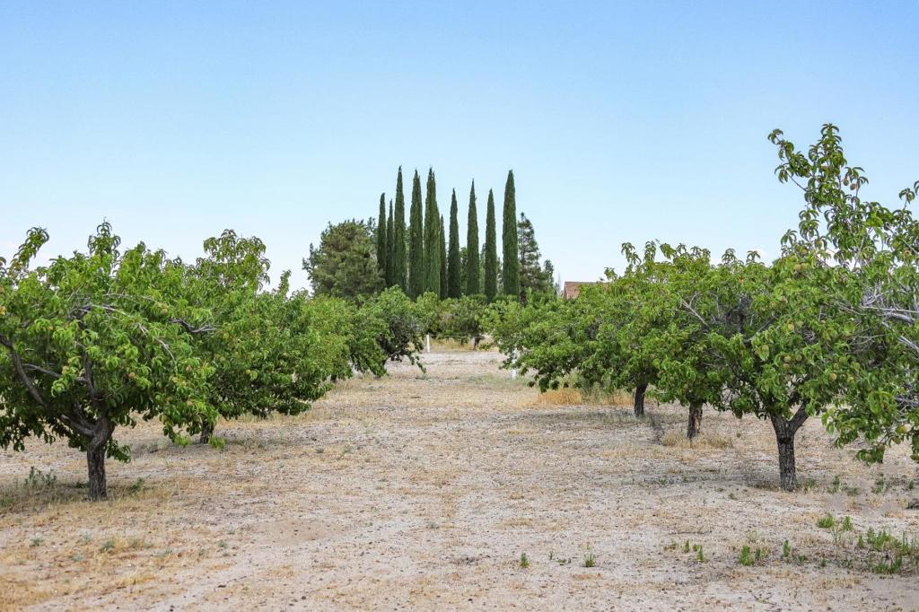34810 Largo Vista Road Brian Ranch Property Photo 35