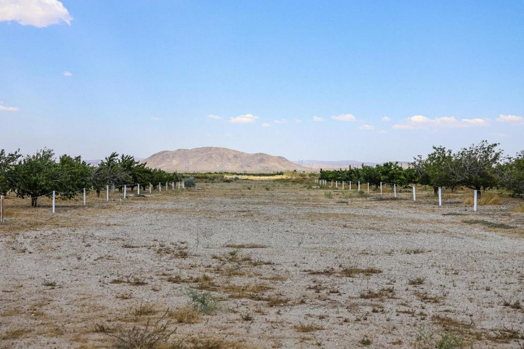 34810 Largo Vista Road Brian Ranch Property Photo 36