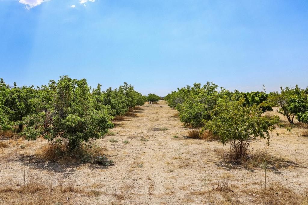 34810 Largo Vista Road Brian Ranch Property Photo 39
