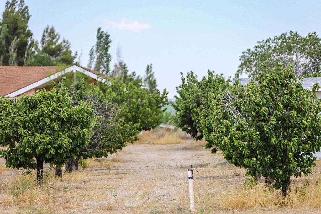 34810 Largo Vista Road Brian Ranch Property Photo 42