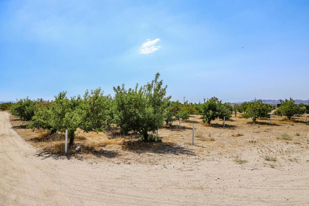 34810 Largo Vista Road Brian Ranch Property Photo 48