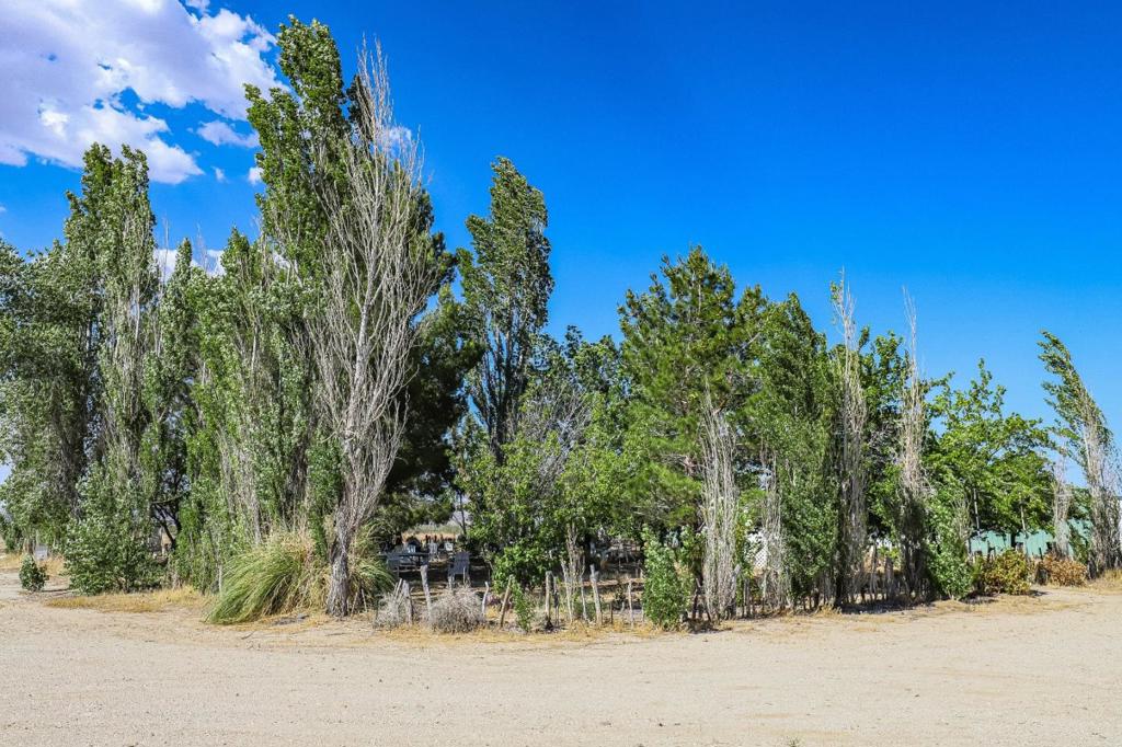 34810 Largo Vista Road Brian Ranch Property Photo 63