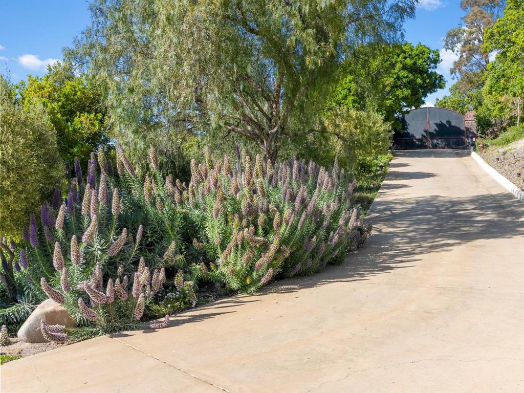24680 Avenida Principal Property Photo 51