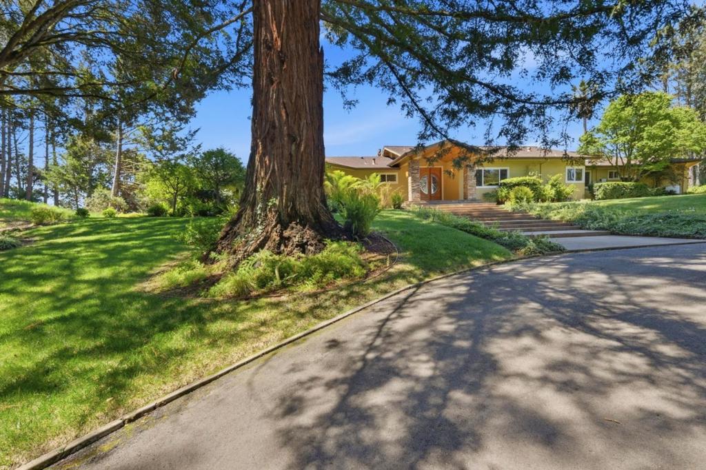 350 Corralitos Ridge Road Property Photo 4