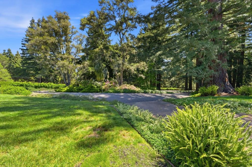 350 Corralitos Ridge Road Property Photo 5