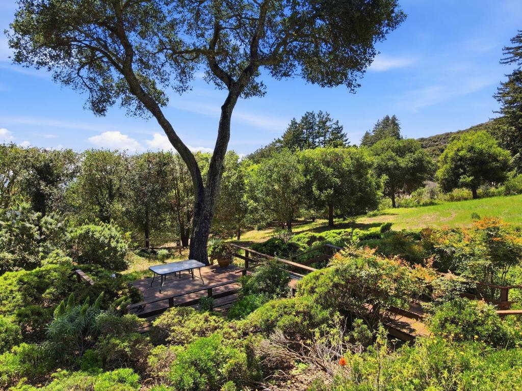 350 Corralitos Ridge Road Property Photo 65