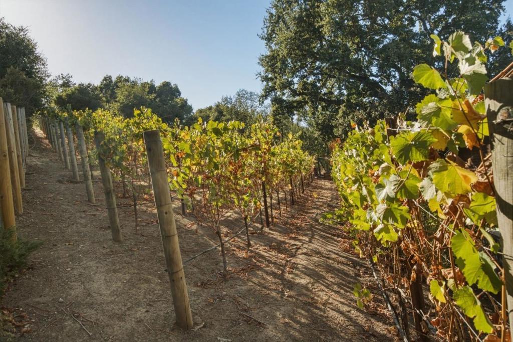 14123 Tracy Court Property Photo 38