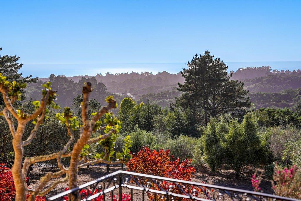 340 Aptos Ridge Circle Property Photo 63