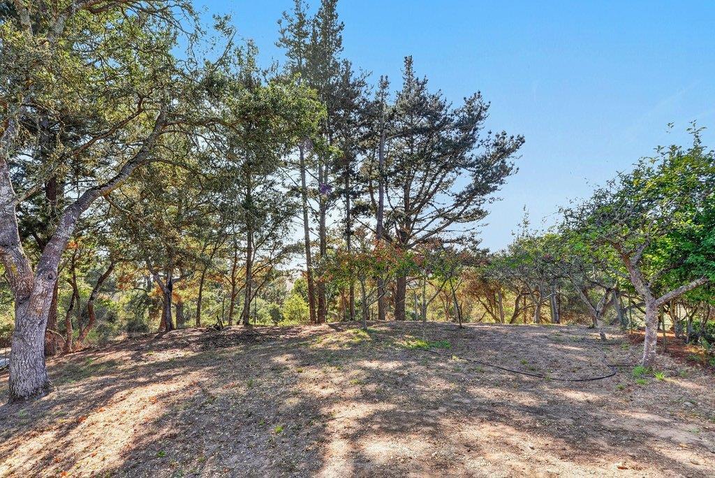 340 Aptos Ridge Circle Property Photo 67