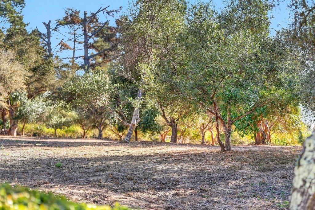 340 Aptos Ridge Circle Property Photo 71