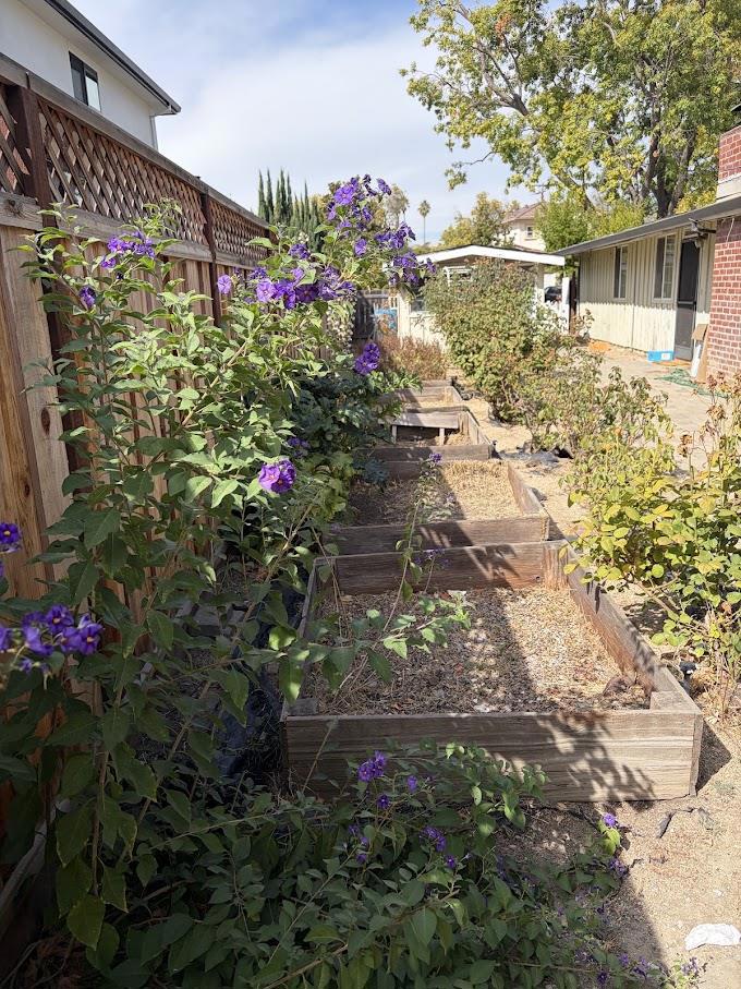 10534 Sterling Boulevard Property Photo 16
