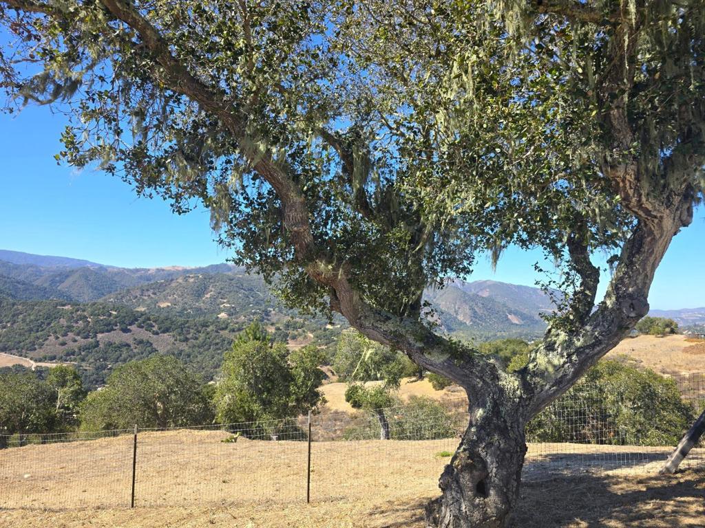 145 E Carmel Valley Road Property Photo 10