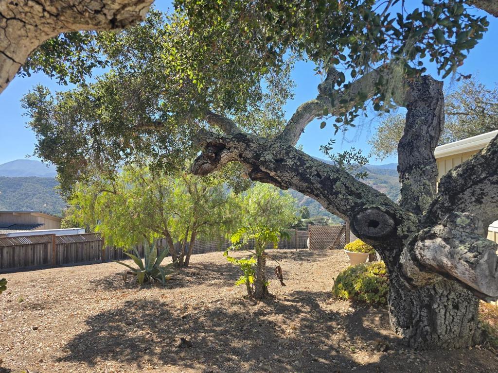 145 E Carmel Valley Road Property Photo 11