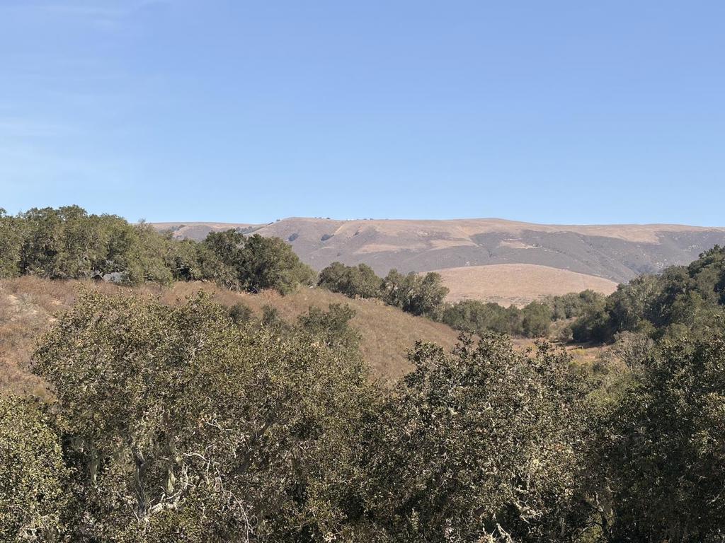 145 E Carmel Valley Road Property Photo 29