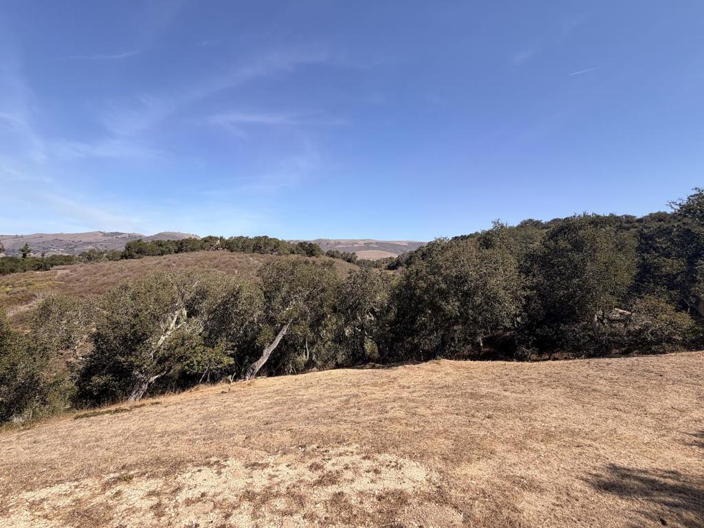 145 E Carmel Valley Road Property Photo 33