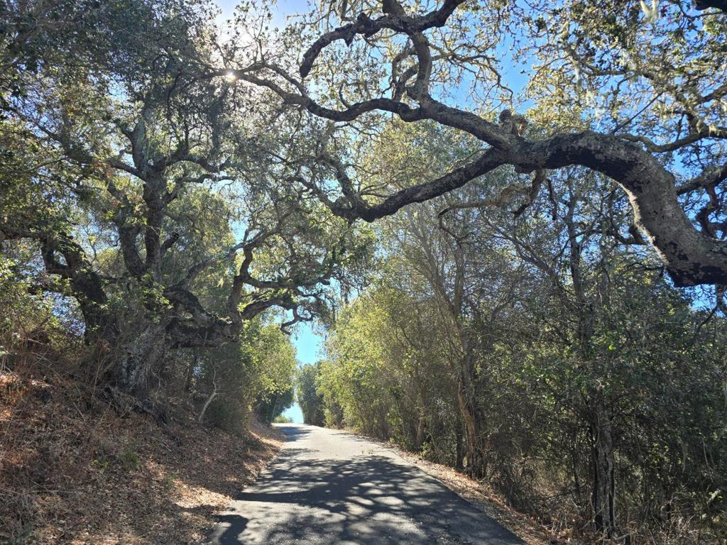 145 E Carmel Valley Road Property Photo 38