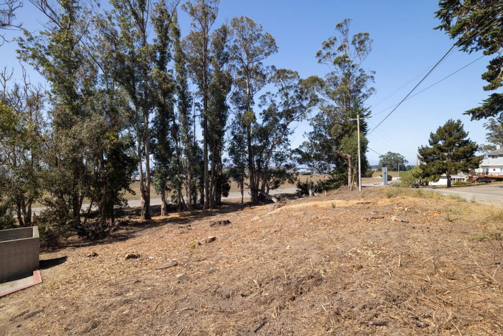 ML82063449 Property Photo 11