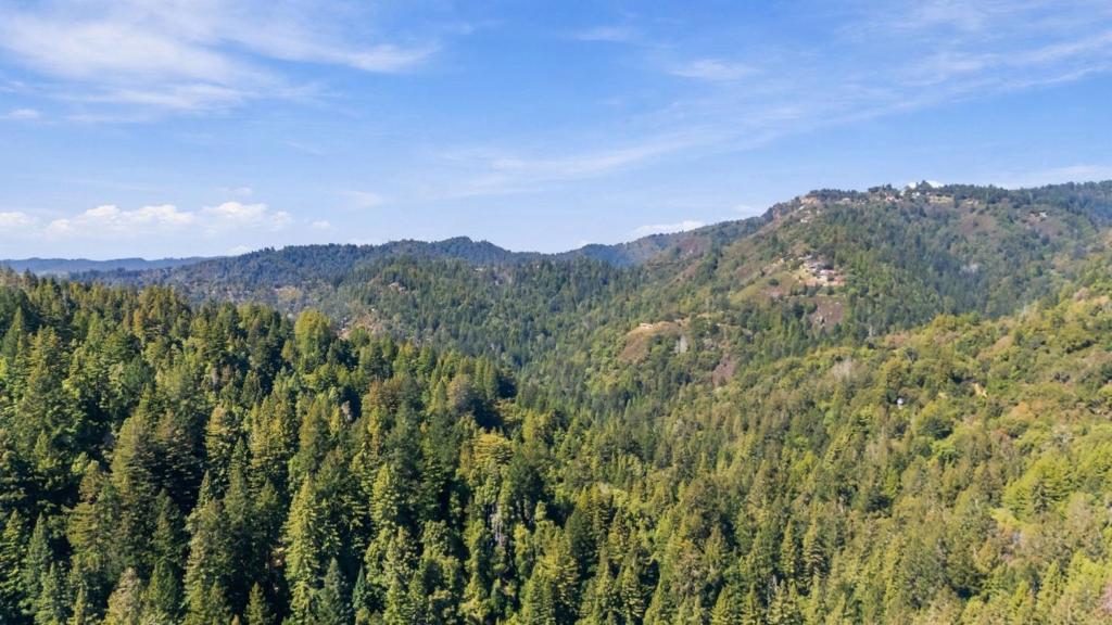 Bear Creek Road Property Photo 2