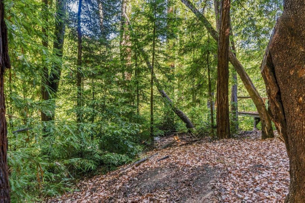 Bear Creek Road Property Photo 18